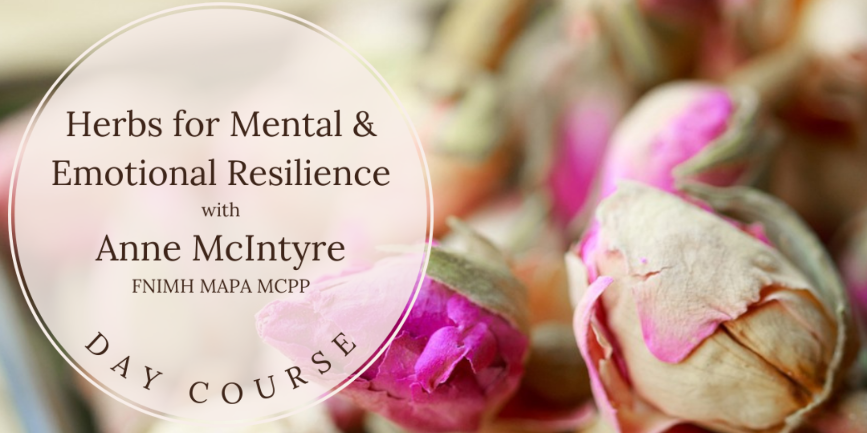 Herbs for Mental and Emotional Resilience with Anne McIntyre